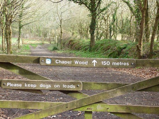 RSPB Chapel Wood Nature Reserve