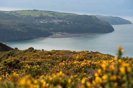 Foreland Point