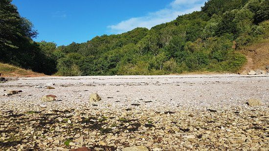 Churston Cove