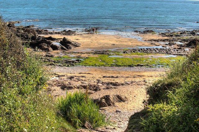Wembury Beach