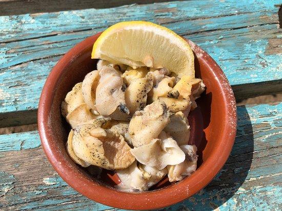 The Glorious Oyster