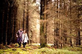 Haldon Forest
