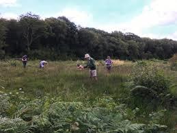 Andrew's Wood