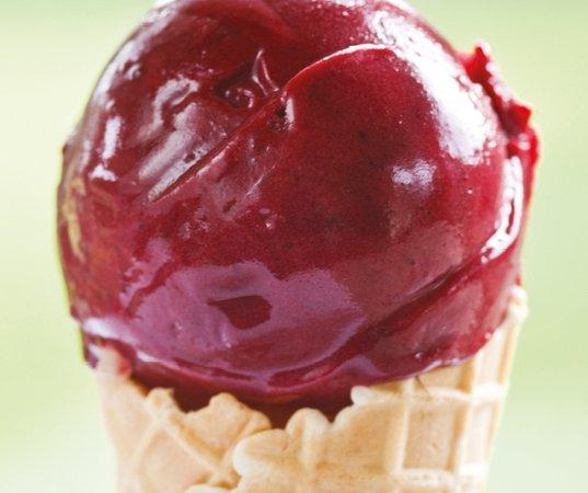 Salcombe Dairy Ice Cream