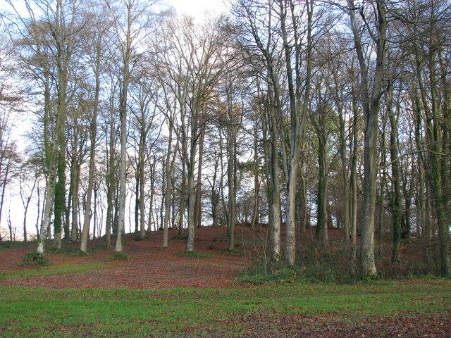 Dolbury hillfort