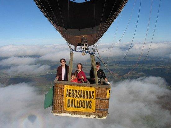 Aerosaurus Balloons
