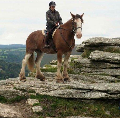 Adventure Clydesdale