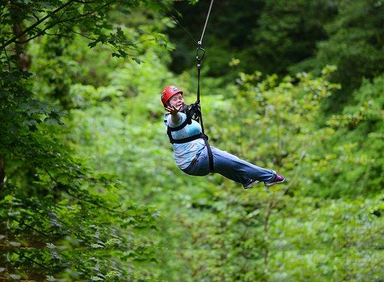 Dynamic Adventures CIC