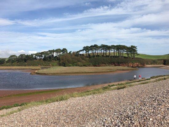 South West Coast Path - Otter Valley Wildlife Walk