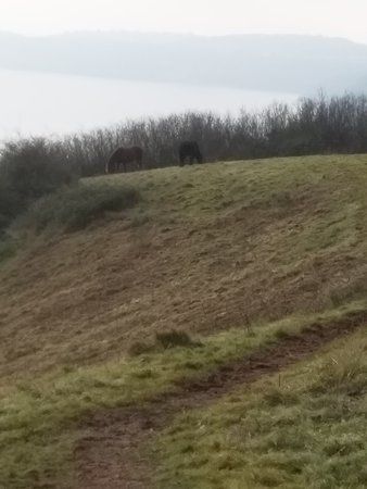 RSPB Labrador Bay Nature Reserve
