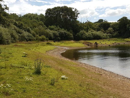 Roadford Lake Country Park