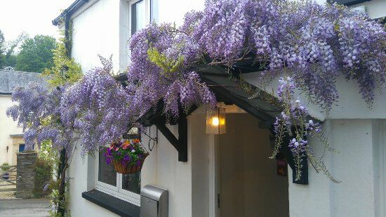 Hunters Lodge Inn